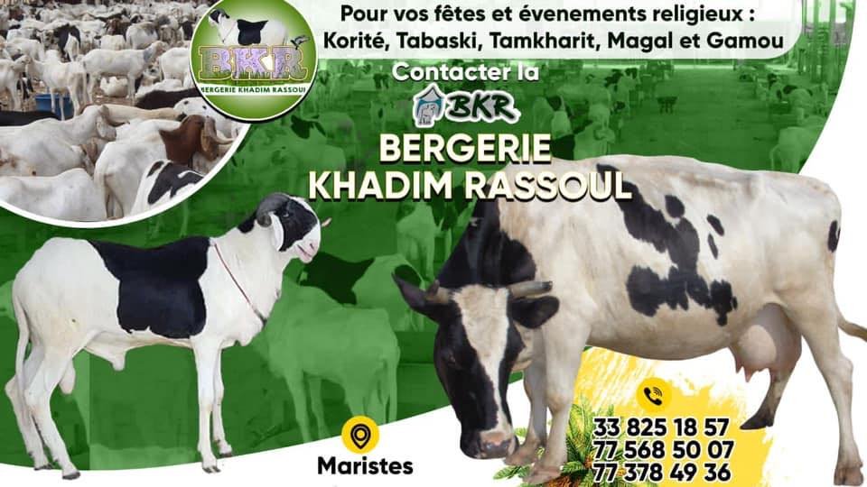 473589814_1159567995539141_7652879191014630487_n-1