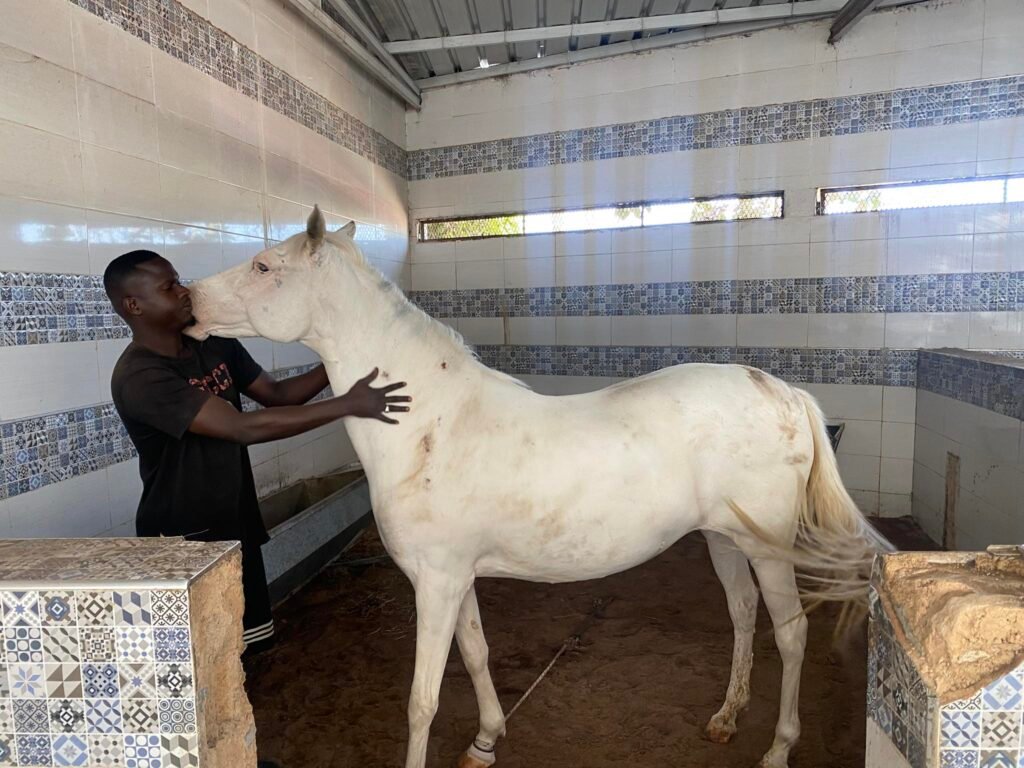 490346235_1150597860199325_5683696676464995950_n-1