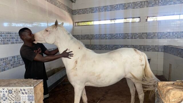 490346235_1150597860199325_5683696676464995950_n-1