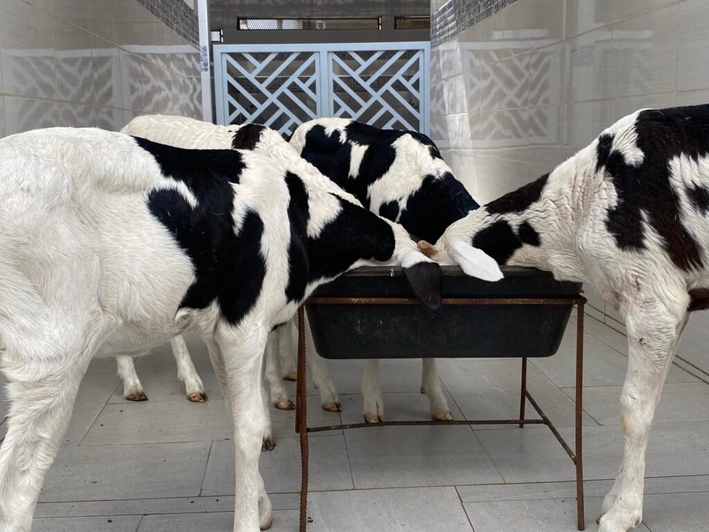 491266849_1150597926865985_4644480922899062764_n-1