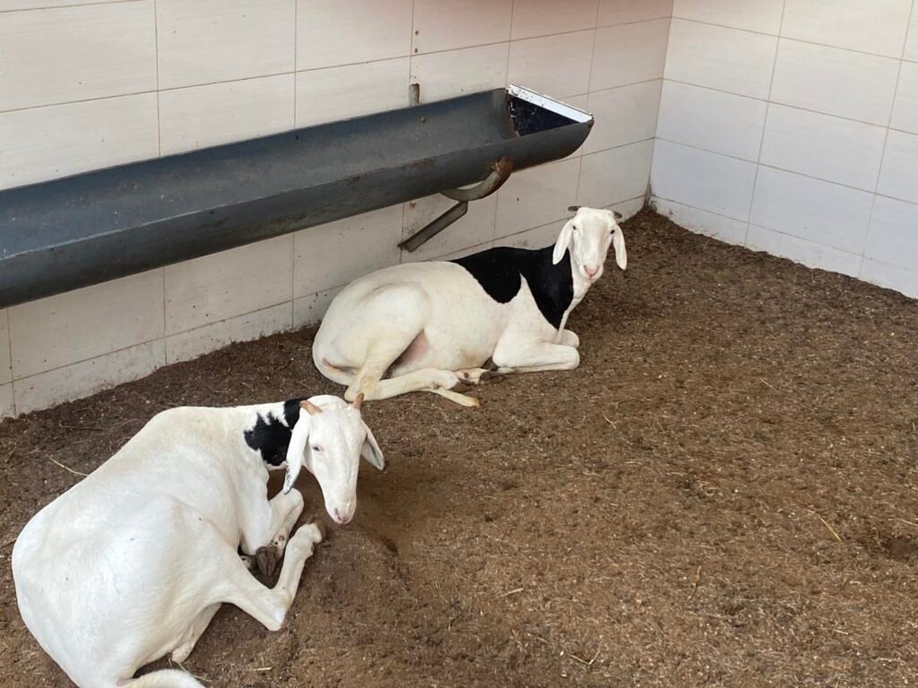 491834650_1150593310199780_915498549638966002_n-1