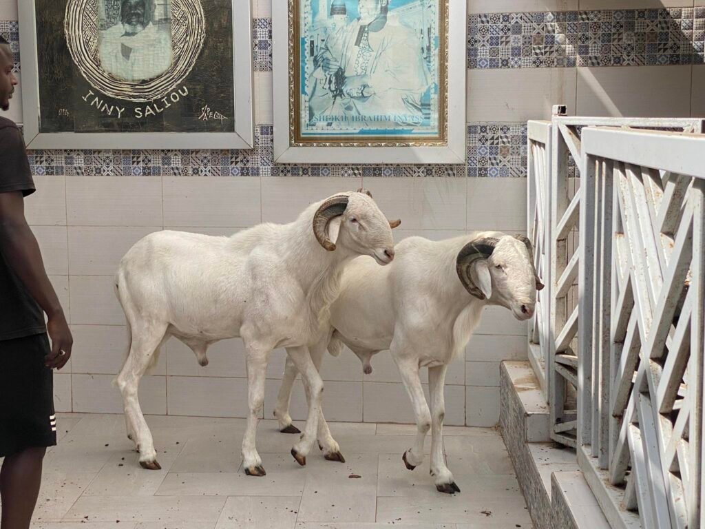 492617931_1150598020199309_8493011960816319838_n-1