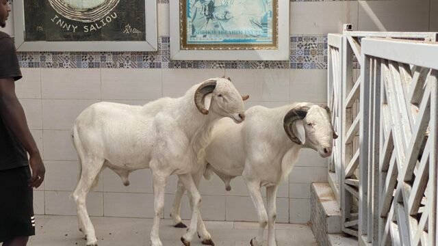 492617931_1150598020199309_8493011960816319838_n-1